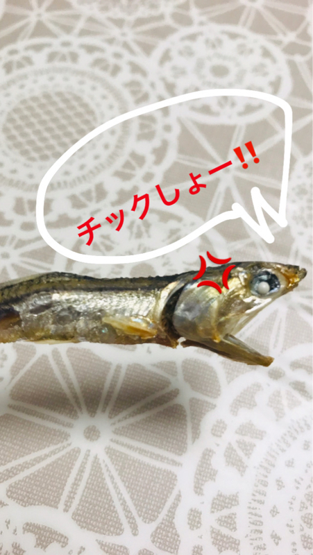 #24〜Rちゃん今日は重度の寝不足でした〜