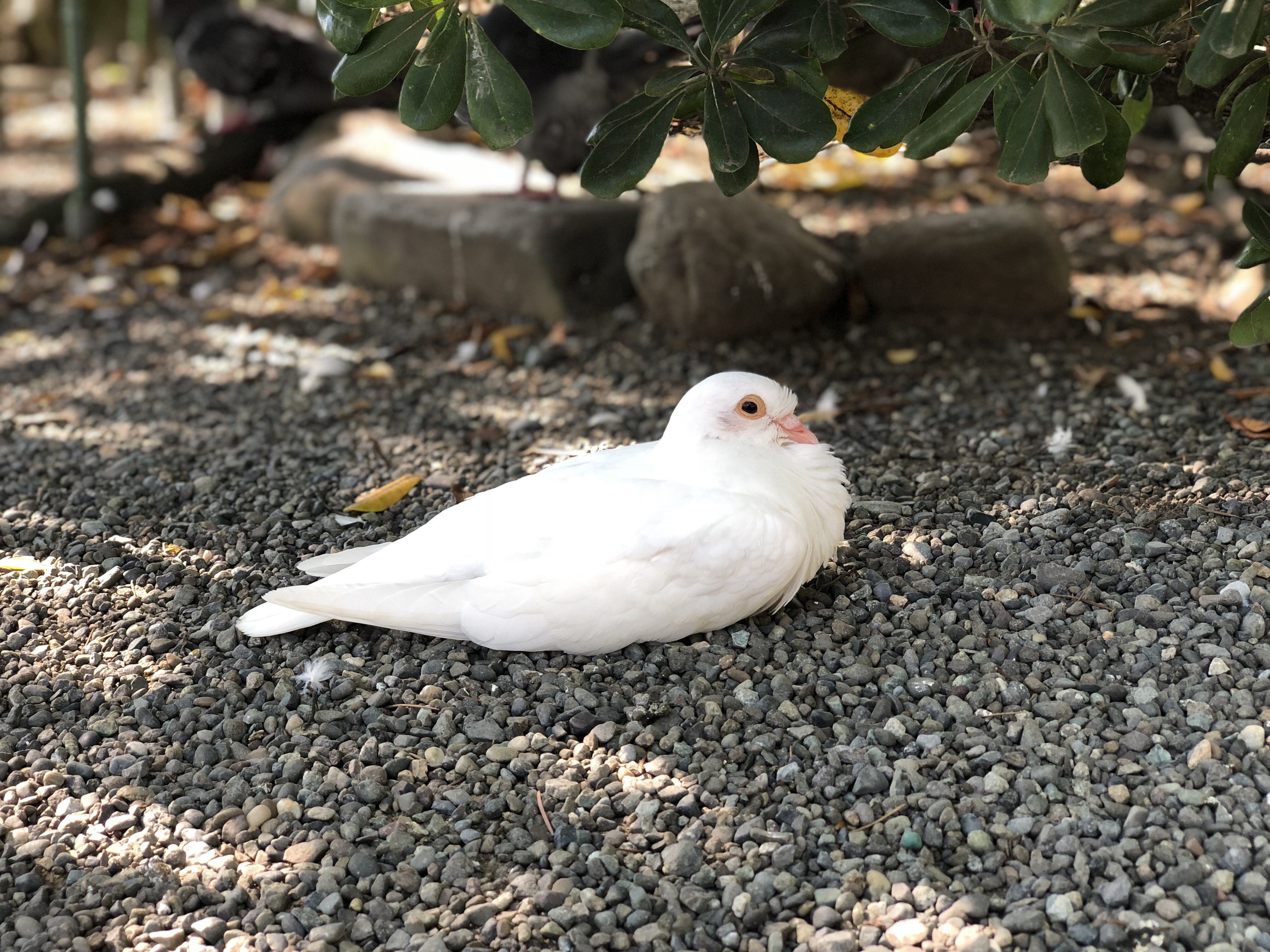 般若の吐き出し場