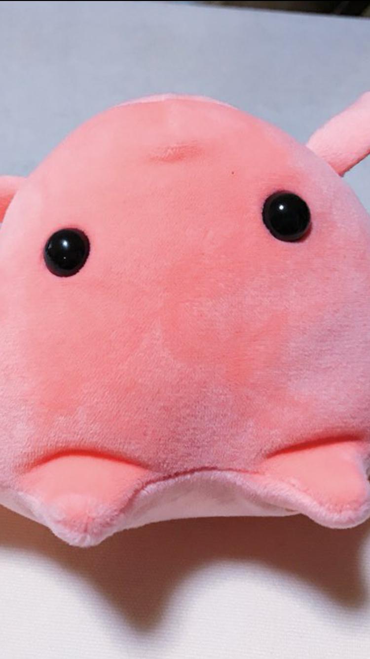 ちょっと長い愚痴