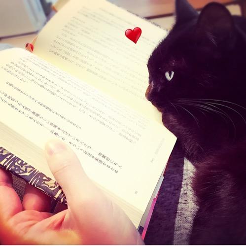 #3 チャリのカギ泥棒と奇跡の唐揚げ