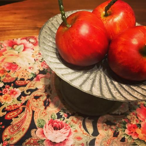 #8（朝vir）真面目にエロ動画を勧める。