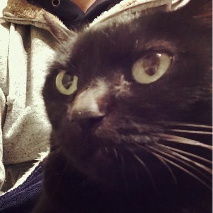 #9 久々に、直感がGoを告げる打ち合わせ。