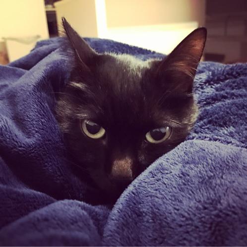 #13 M1グランプリを泣きながら見る