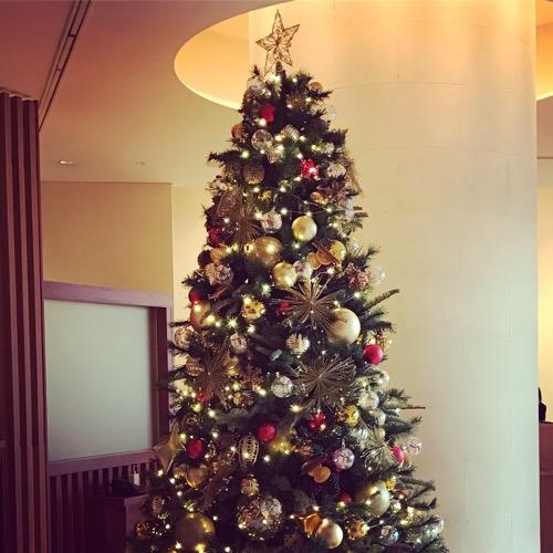 #16 カオスなセンスのクリスマスイルミネーションに悲鳴