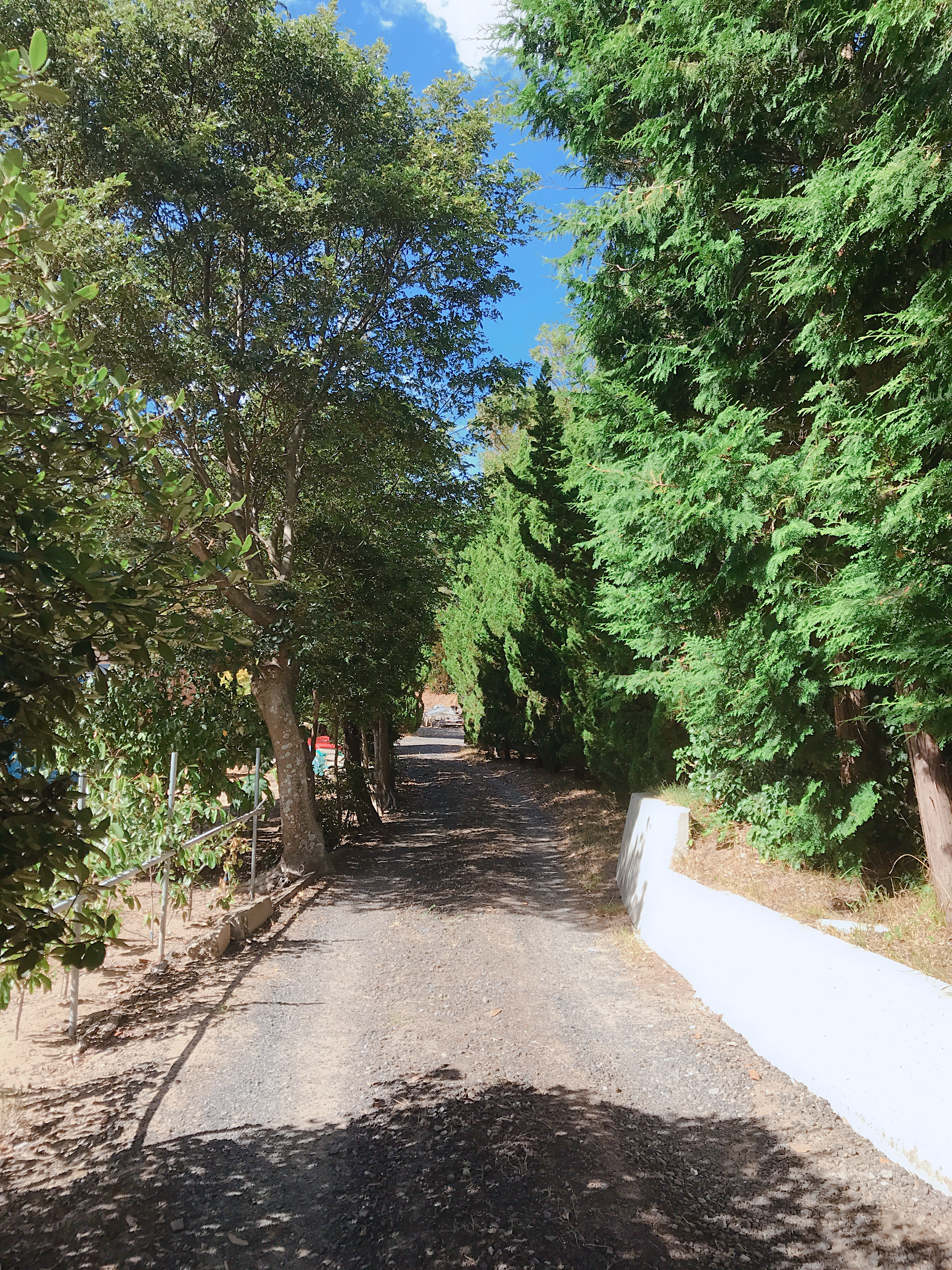 質問箱をする人について