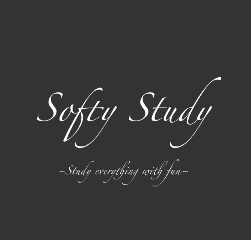 SoftyStudy 