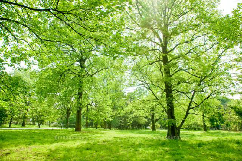 30号　バンの不倫しかけた話！？