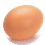 型月のオタク視点でSF小説を語ってみた？