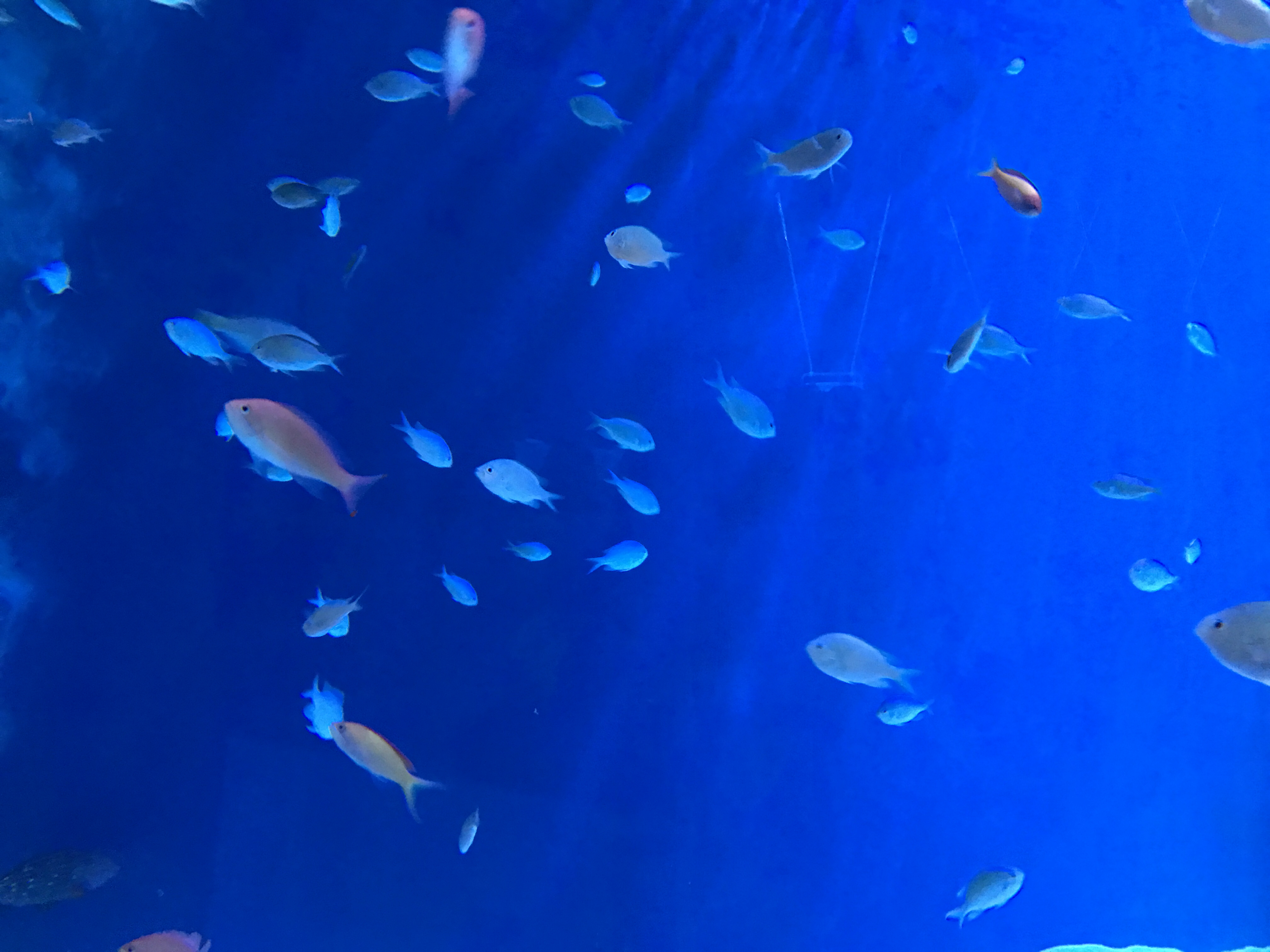 ネタ提供助かります！！！