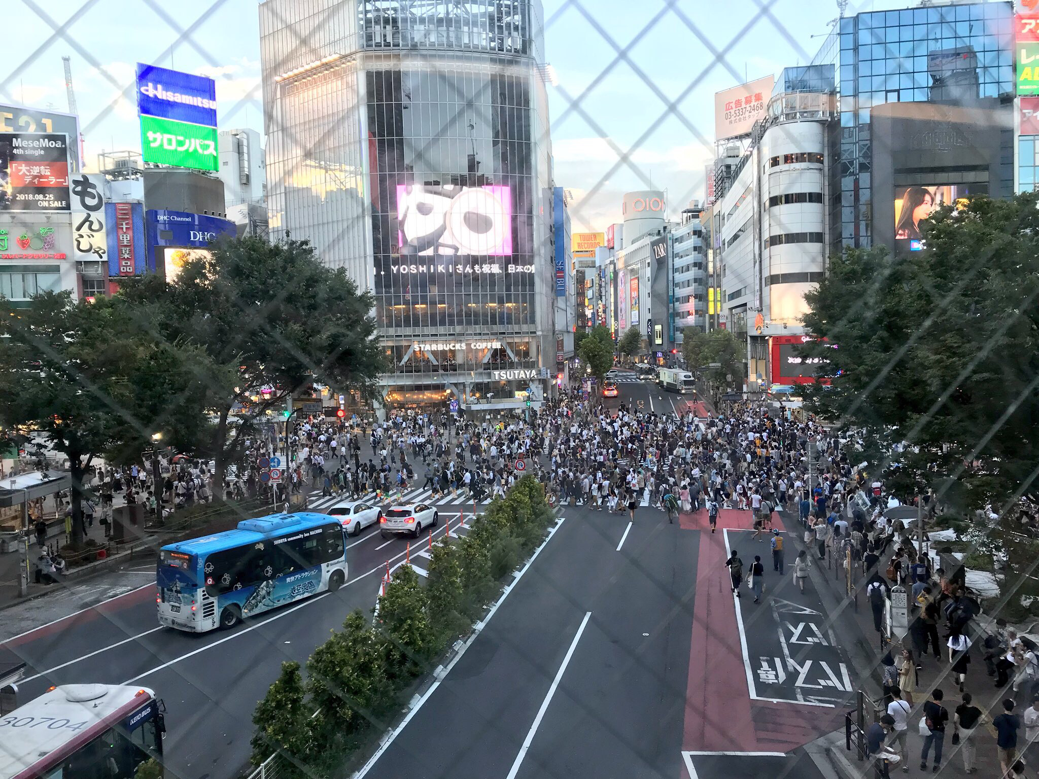 #01 セカライポッセレポもどき