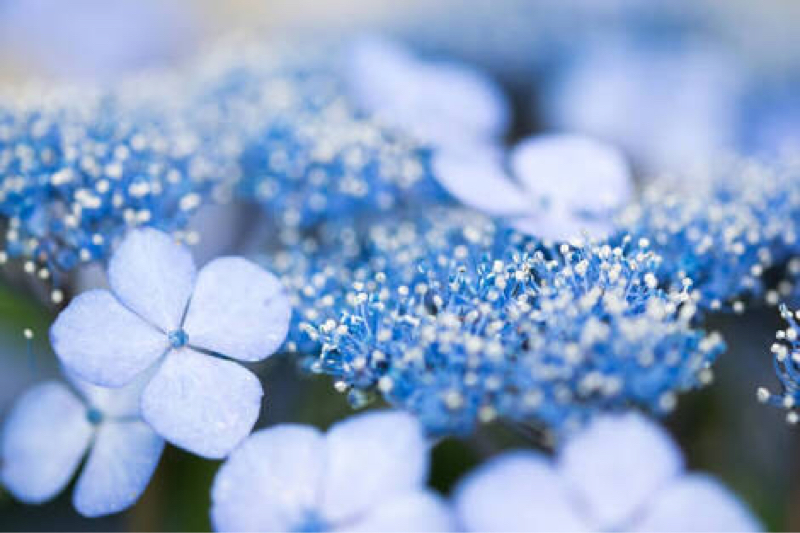 探索者語り #0.5 梶埜 瑠璃（仮）