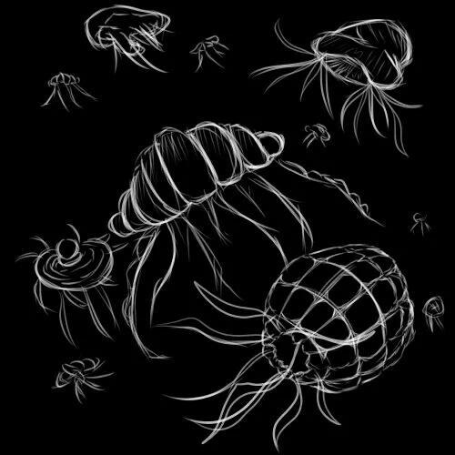 ひとりなラジオ