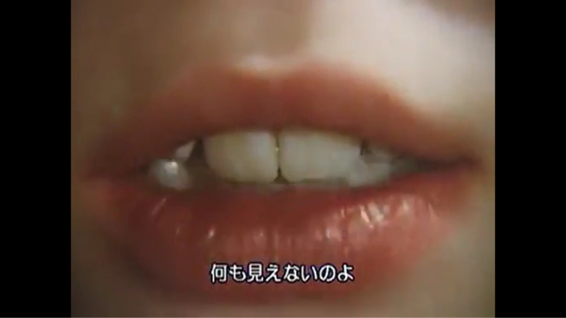 アニマル・ロジック