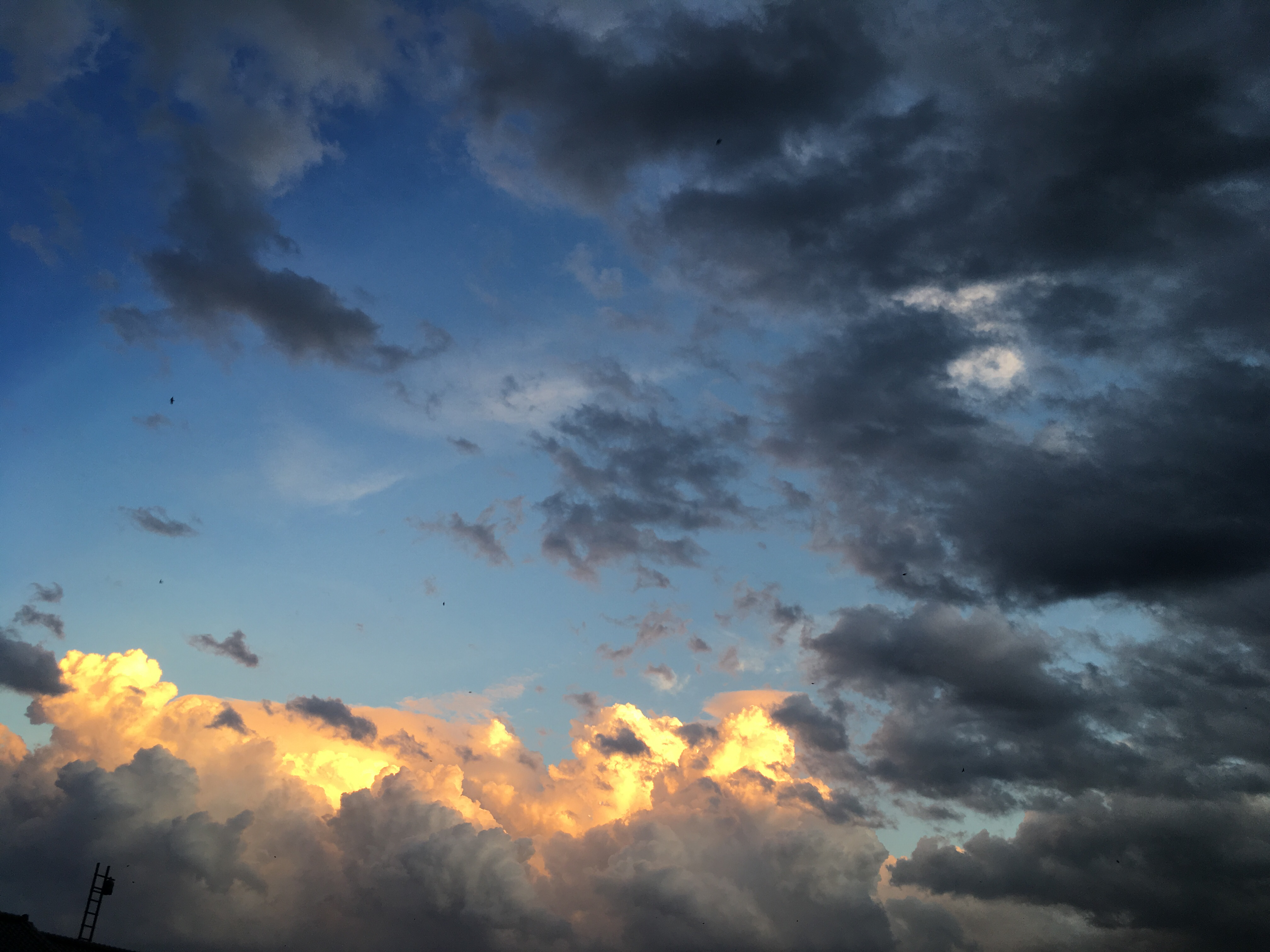 #2 『文豪とアルケミスト』考察 その2