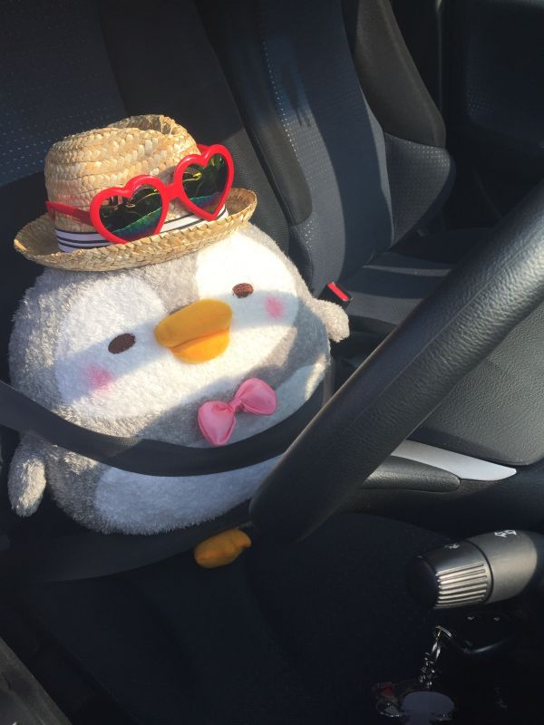 プロレスと僕part1