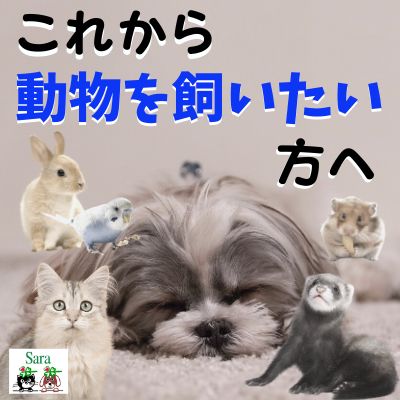 ＃31.  ペットを飼うことで失うものと得られるもの：これから飼いたいと思っている方へ