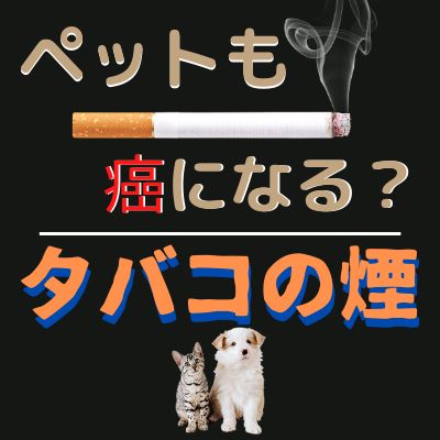 #34. タバコを吸っているとペットも癌になる？ from Radiotalk episode artwork