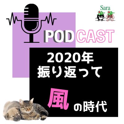 #101. 2020年の音声配信を振り返ってみて感じること（Himalaya祭りバトンリレー） from Radiotalk episode artwork