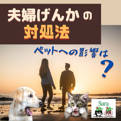 #144. 夫婦げんかの対処法：どうしたらイイ？ペットに与える影響