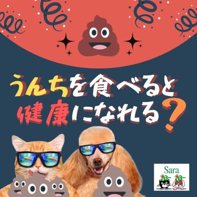 #182. うんちを食べたら健康になれる？便移植・食糞対策について（質問に回答） from Radiotalk episode artwork