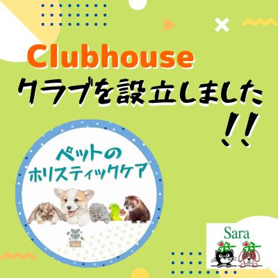 #192. Clubhouse内でクラブ（ペットのホリスティックケア）を設立しました！ from Radiotalk episode artwork