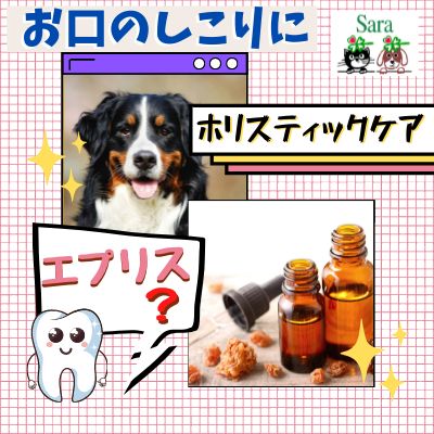 #235. お口のしこりエプリス：どうやってケアしたら良い？（質問に回答） from Radiotalk episode artwork