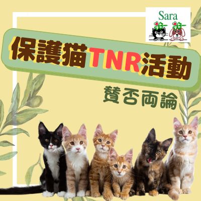 Sara先生のペットの暮らしと健康AnimalTalk with Holistic vet Sara