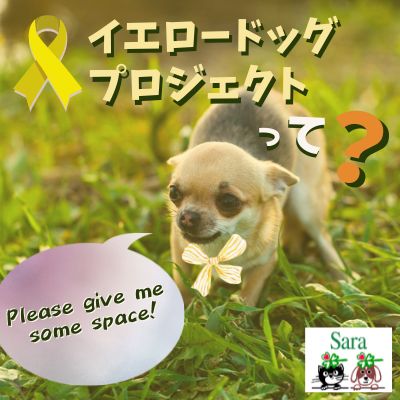 #257. うちの犬に近づかないで：イエロードッグプロジェクトとは？