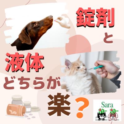 #259. 錠剤と粉、どちらがペットに優しい？お薬の飲ませ方（質問への回答） from Radiotalk episode artwork