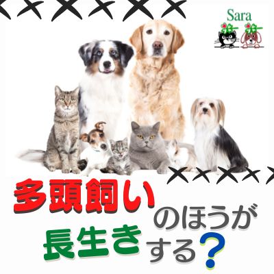 #267. え？多頭飼いの方が長生き？論文を解説！（Clubhouse収録） from Radiotalk episode artwork