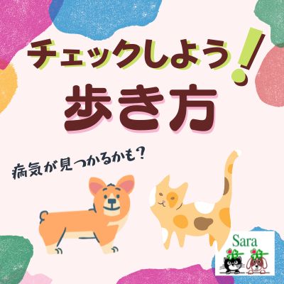 #270. うちのコは大丈夫？歩き方でチェックしよう！関節の病気（質問に回答） from Radiotalk episode artwork