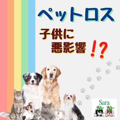 Sara先生のペットの暮らしと健康AnimalTalk with Holistic vet Sara