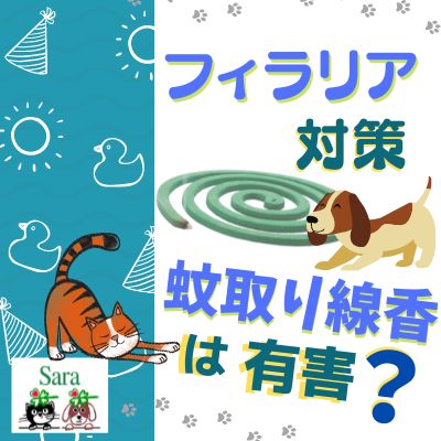 #306. 蚊取り線香って良くないの？蚊はどうやって予防するのが良い？（質問に回答）