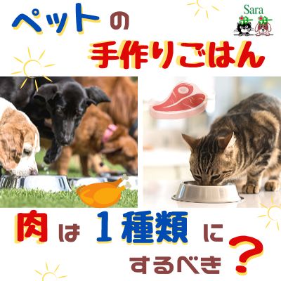 #335. ペットの手作り食：与える肉は１種類に決めたほうがイイ？