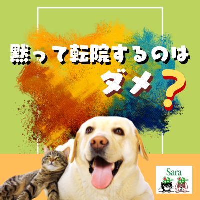 #378. 先生に伝えずに黙って転院したら失礼ですか？（質問に回答） from Radiotalk episode artwork