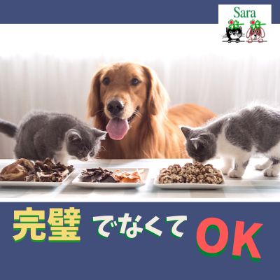 #380. 手作り食・サプリ・ケアなど・・完璧でなくてOK！