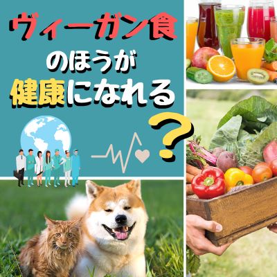 #403. ヴィーガン食のほうが健康になれる？フード中のタンパク質量の目安は？ from Radiotalk episode artwork
