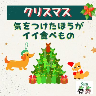 #433. クリスマスにあげたい！でも注意したほうがイイ食べもの