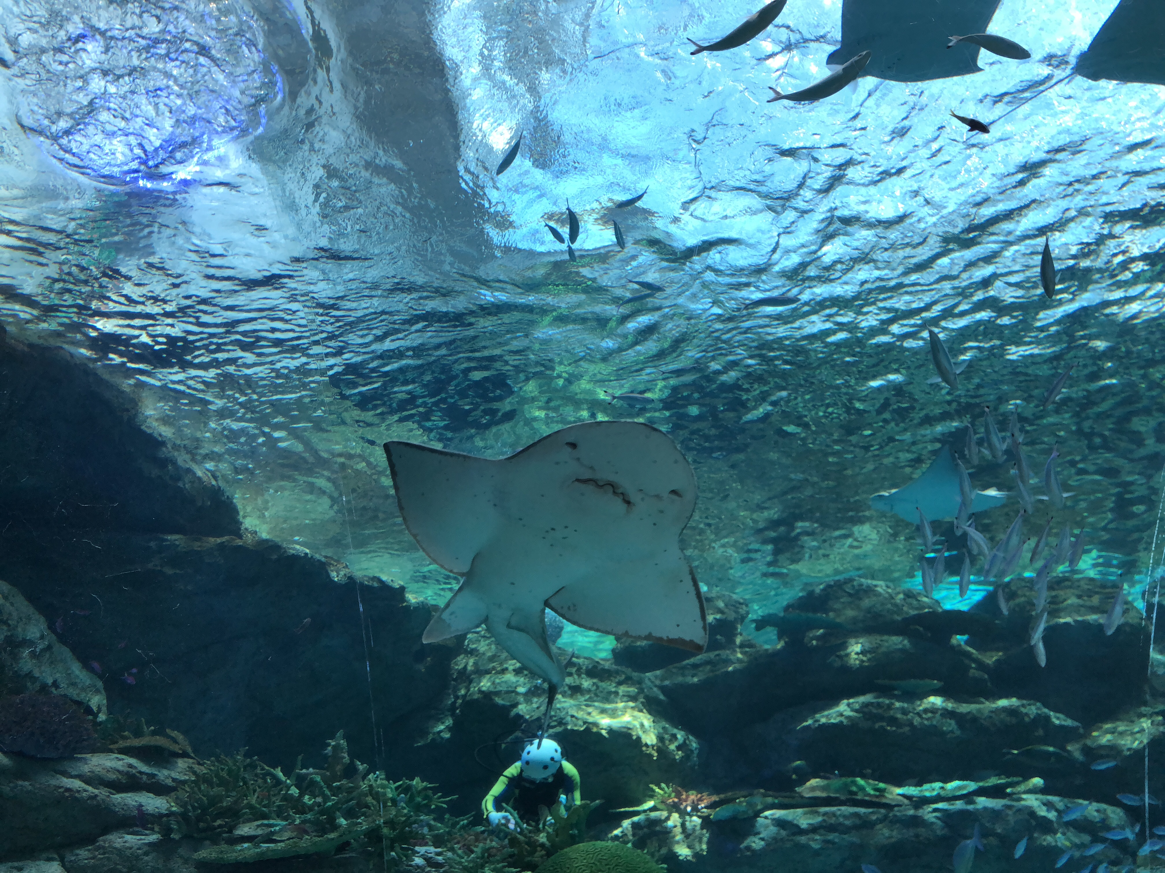 2話目、認められたい