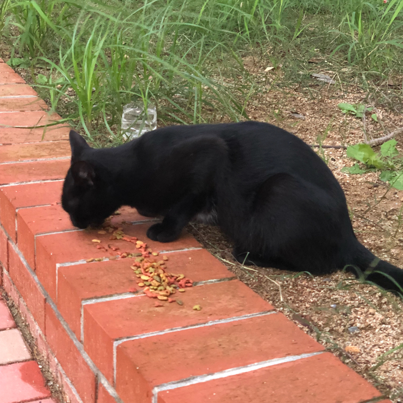 本アカのラジオ第1弾