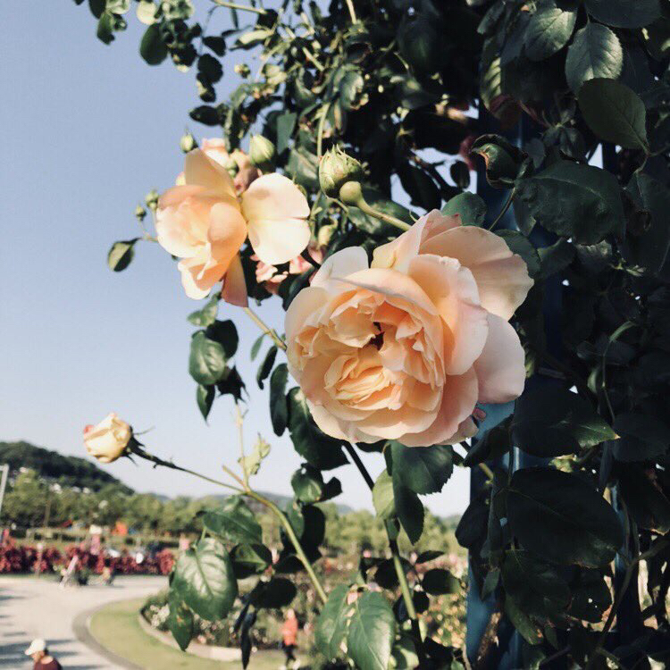 面倒くさいオタクの対談①