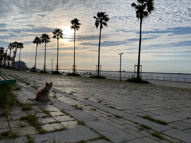 ＃023昨日は、は？あれ？なに？な2連ちゃんそれは。。。