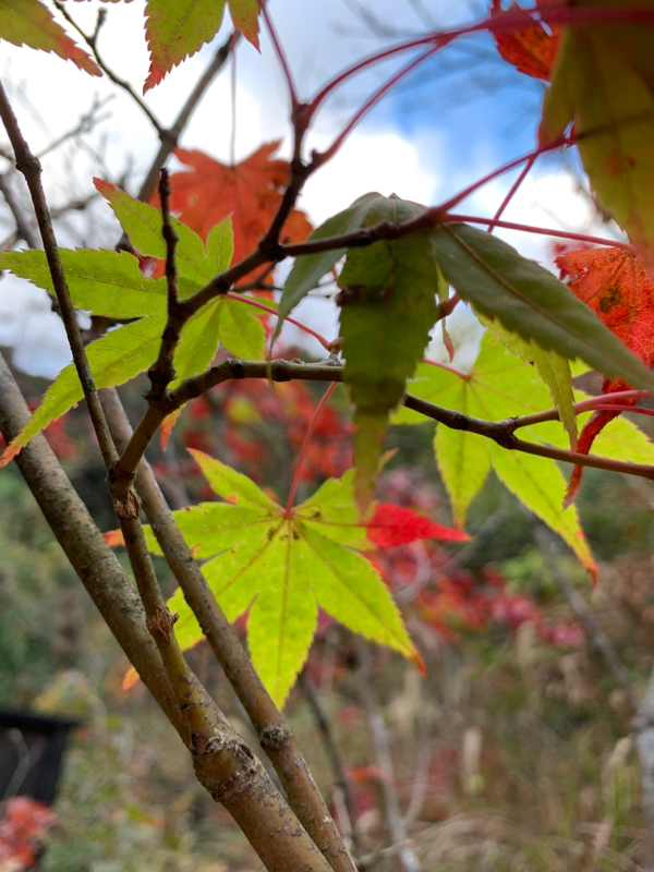 #066とにかくiPadのペンでできる事が凄すぎる件