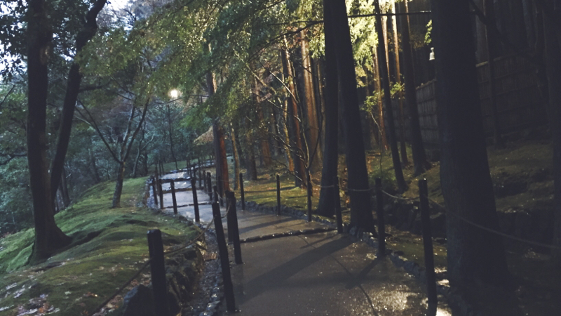 ゆとりの帰宅、しごと、先にからあげ、山の本屋