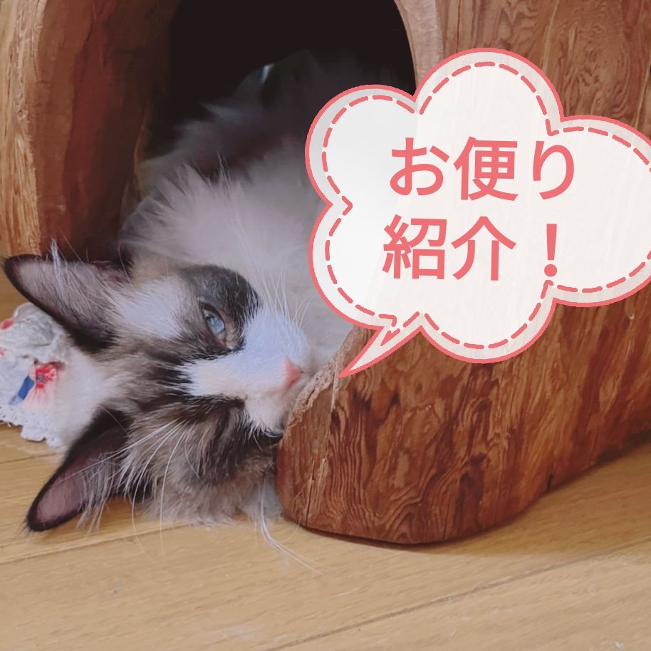 おたより紹介！ from Radiotalk episode artwork