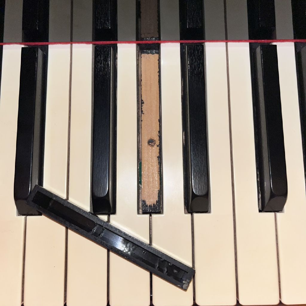 アレが…取れた