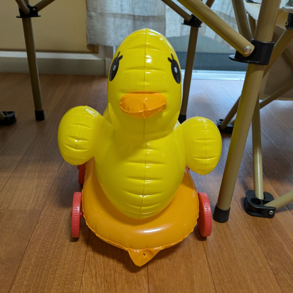 アヒルちゃん🪿