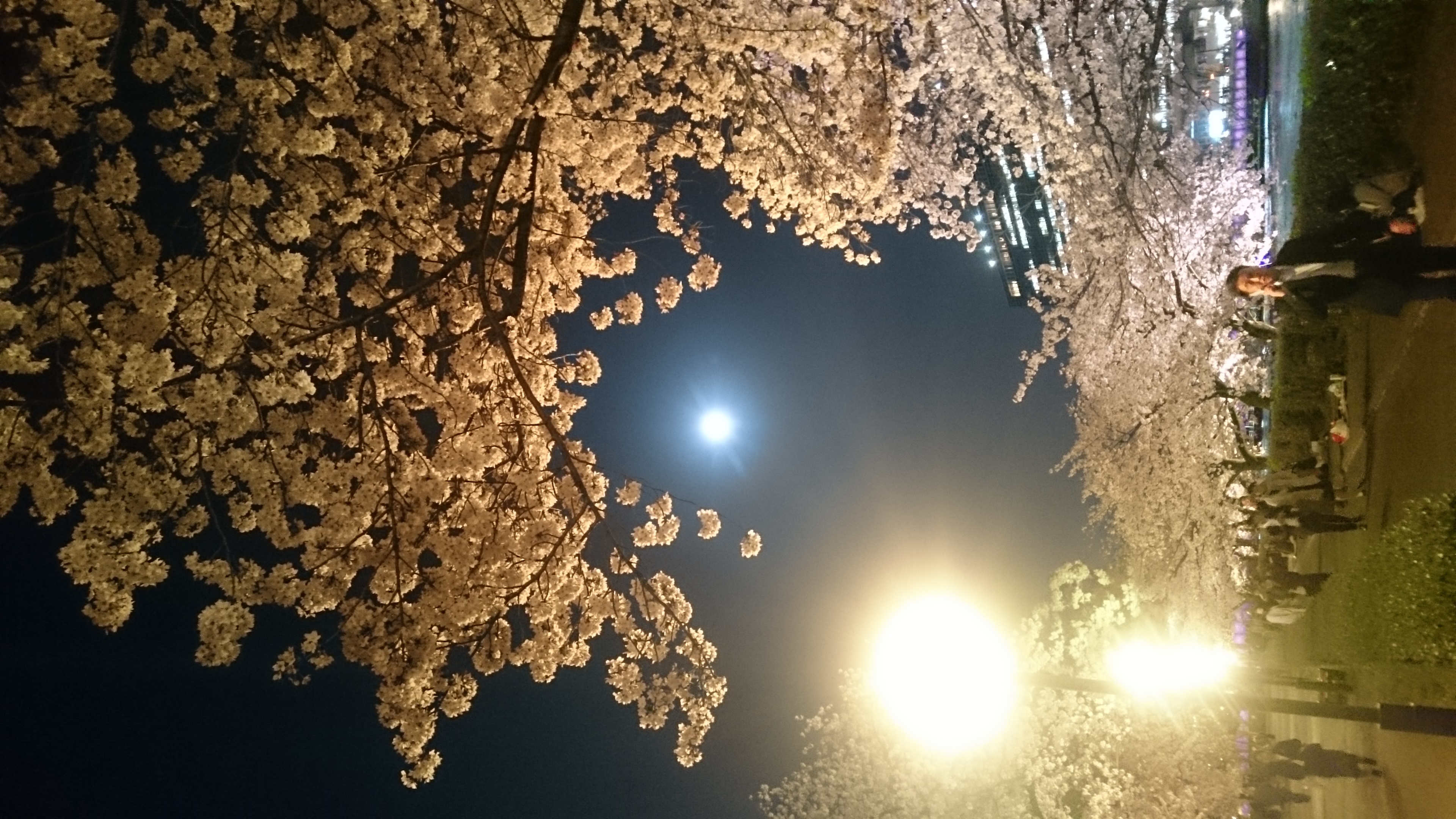 勢いとノリまかせのお喋り