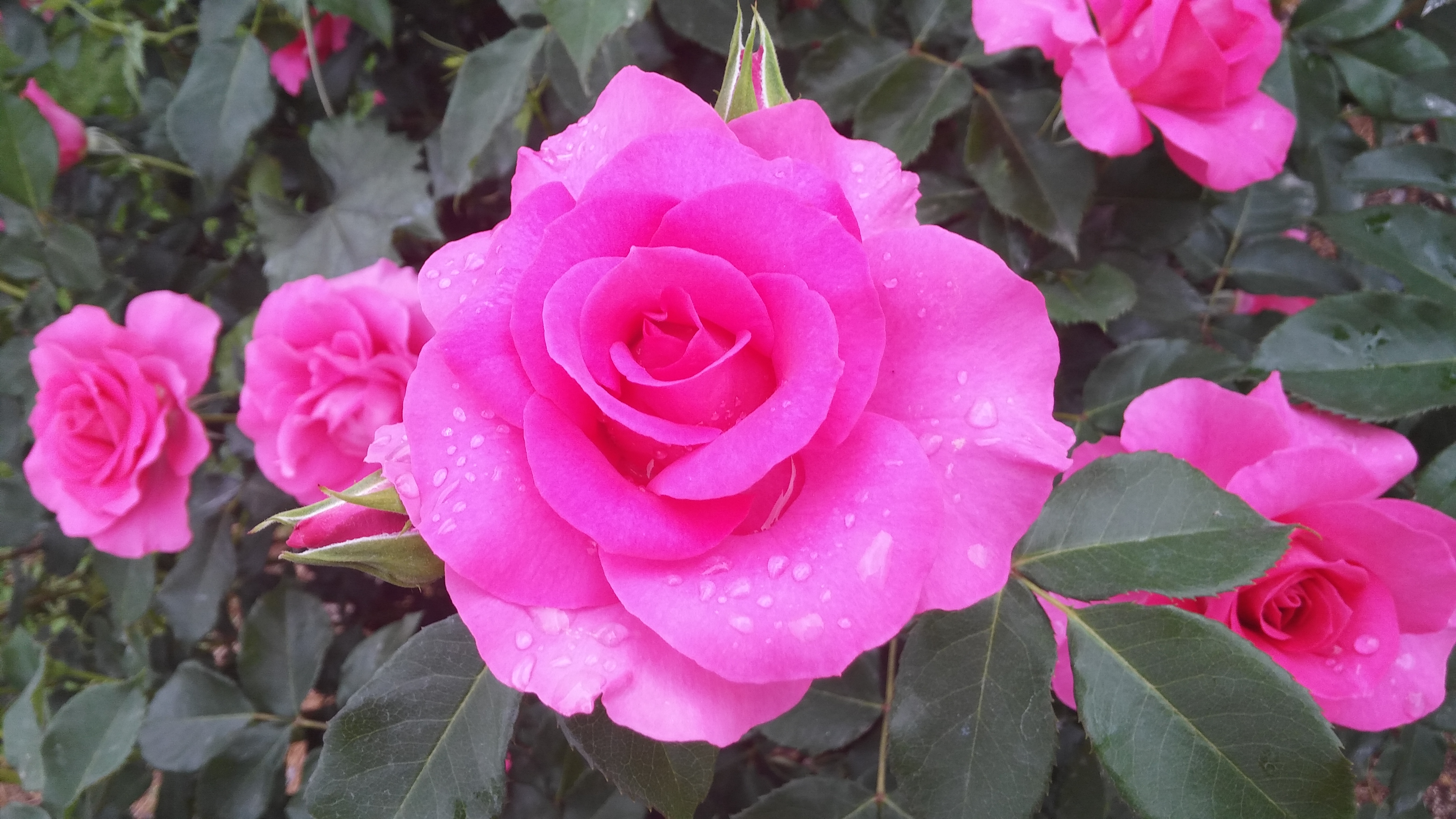 #02 怖い夢の話*