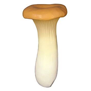 ノアイデとトナカイ